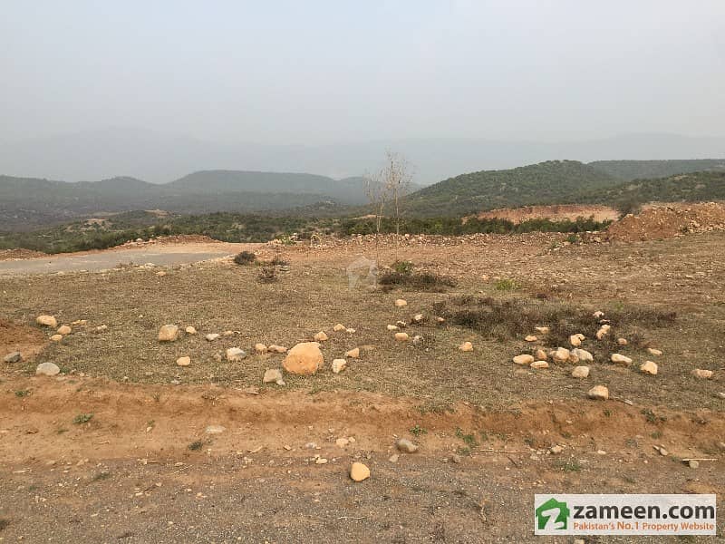 100 Kanal Land For Farm House School College University Hospital Ware House And Hotel Near Margalla Road 4 Km To Sector D-12