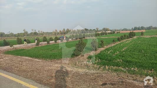 Land On Road Best Location Shujabad.