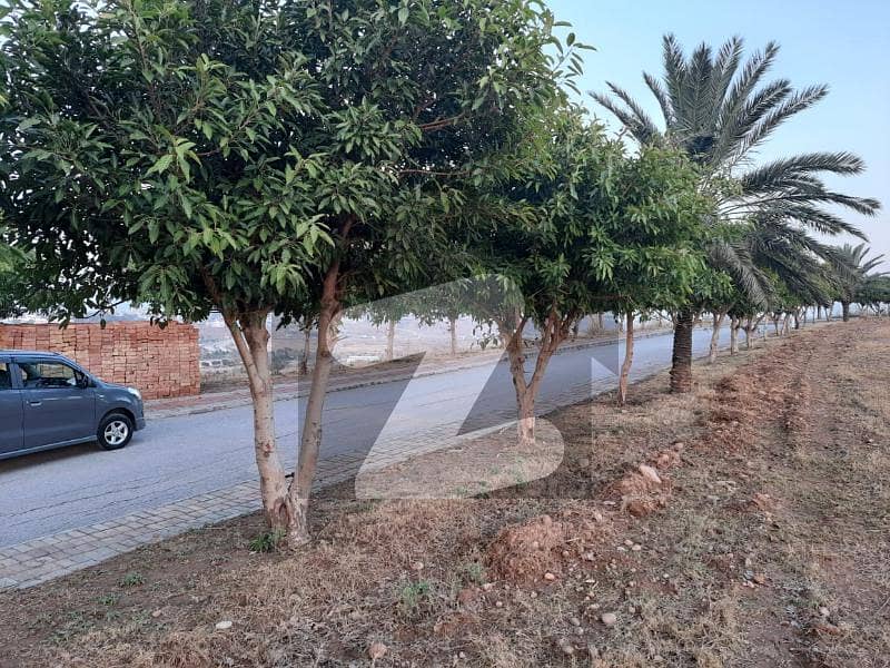 42 Marla Plot For Sale In Garden City Zone 4 Bahria Phase 7 Rawalpindi