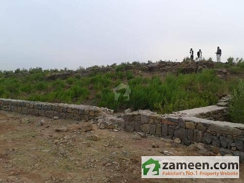 Plot For Sale Plot For Sale