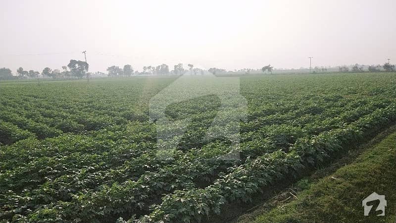 60 Acre Agriculture Land In Pakistan