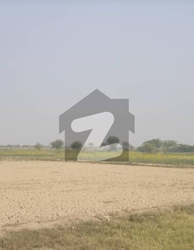 چوک الہ آباد عاقل پور روڈ راجن پُور میں 48.36 کنال زرعی زمین 1.2 کروڑ میں برائے فروخت۔