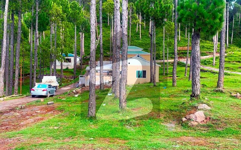 Ideally Located Category Residential Plot For Sale In Murree