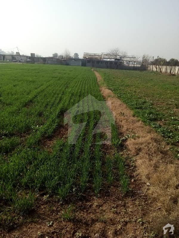 Agro Farming Sachem Nbr 2 Chakshazad Islamabad 20 Kanal Demand 20 Crore
