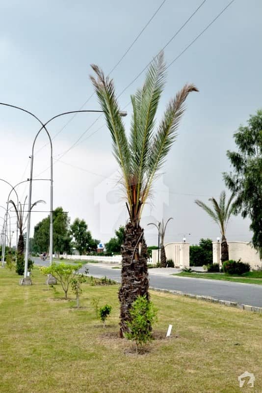 1 Kanal LDA Approved Plot in Rachna Block At Attractive Location for sale