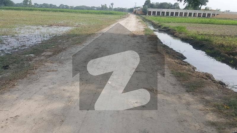 بیدیاں روڈ لاہور میں 224 کنال زرعی زمین 49 کروڑ میں برائے فروخت۔