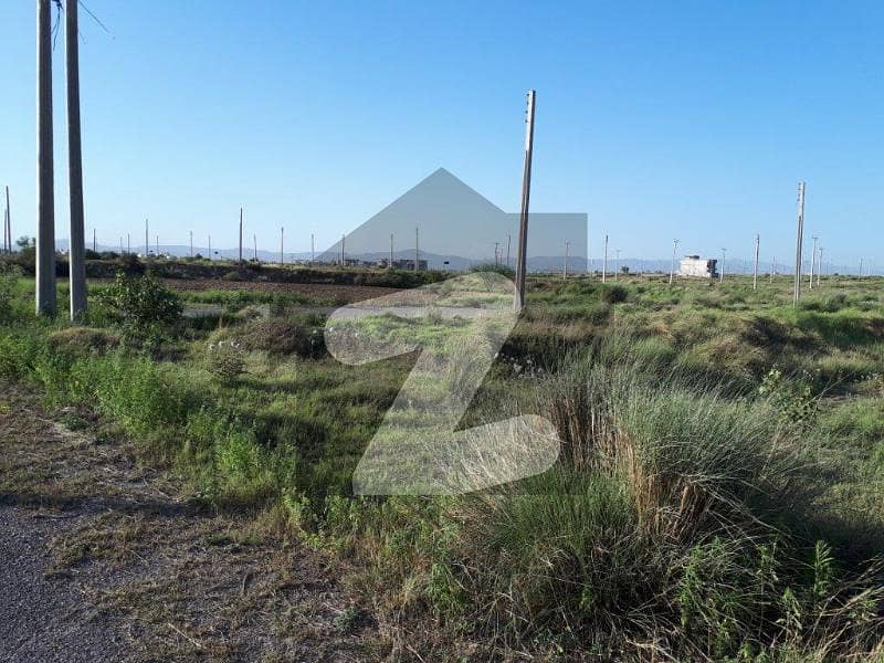 5 Marla Level Plot For Sale At Hot Location