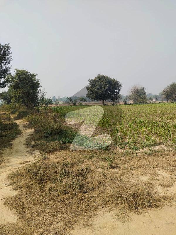 25 Acre Open Land Available Nearest To Bulle Shah Paper Mills