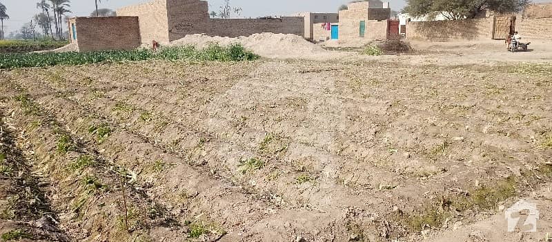 60 Marla Land For Sale In Nawaz Colony 60 Marla Land For Sale In Nawaz Colony