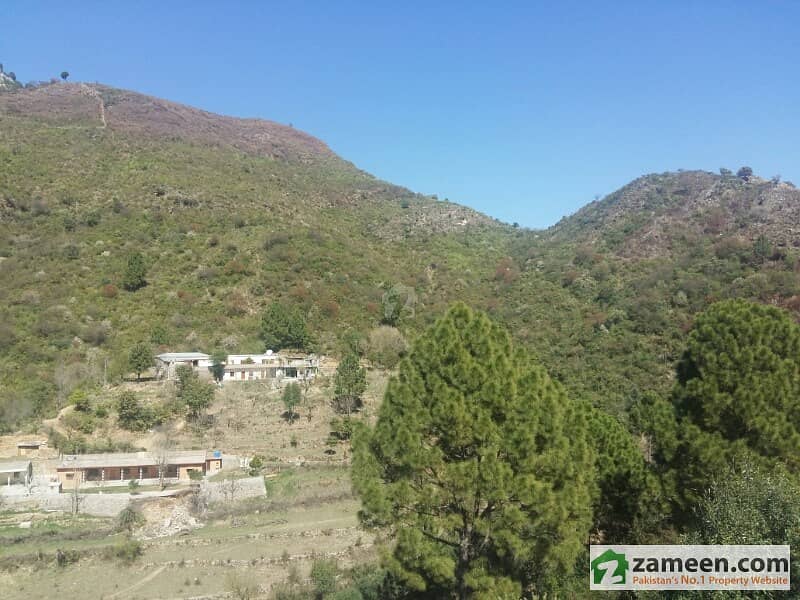130 Kanal Land In Talhar Village