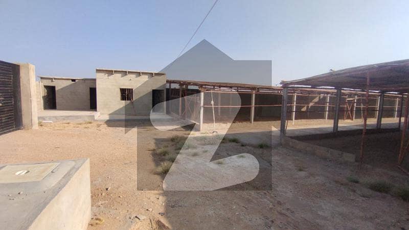گداپ ٹاؤن کراچی میں 2 کمروں کا 2 کنال فارم ہاؤس 50 لاکھ میں برائے فروخت۔ گداپ ٹاؤن کراچی میں 2 کمروں کا 2 کنال فارم ہاؤس 50 لاکھ میں برائے فروخت۔