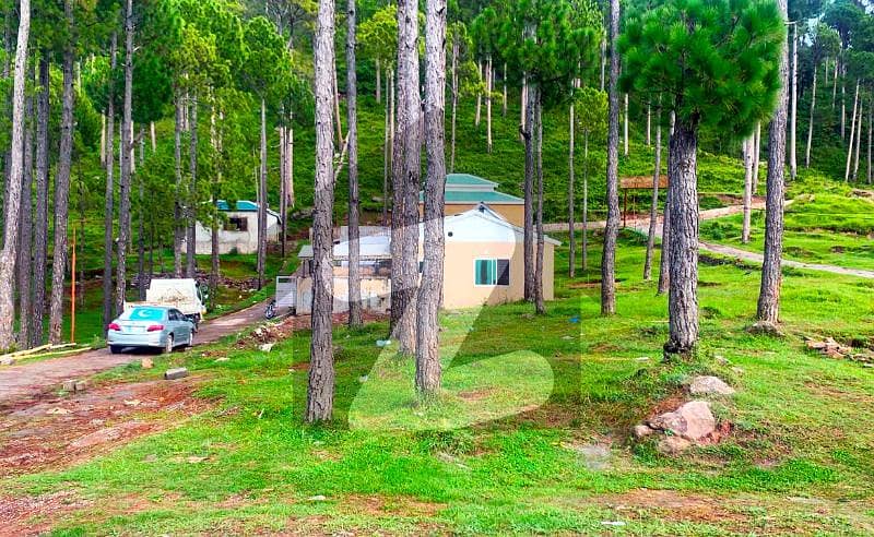 6 Marla Plot For Sale At Murree