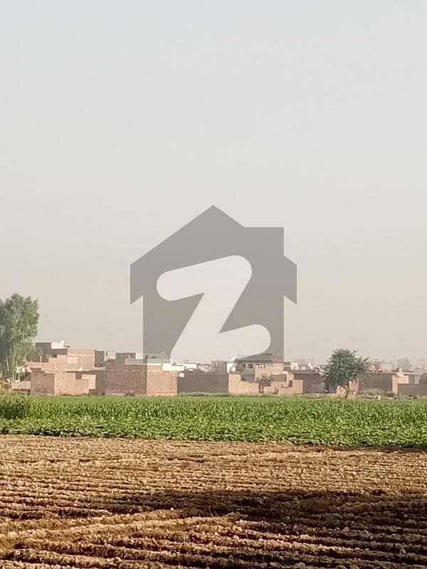 رائیونڈ روڈ لاہور میں 13 کنال زرعی زمین 5.46 کروڑ میں برائے فروخت۔