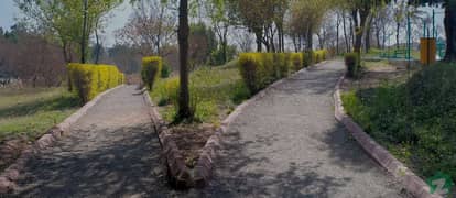Chakri Road