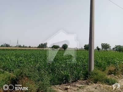 5.5 Acer Agricultural Land For Sale Near Sangla Hill Interchange