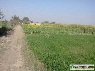 Investment Opportunity 22 Acres Fertile Agriculture Land 5 Km From Dijkot