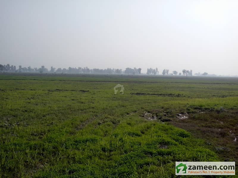 Fertilize 30 Acres Agriculture Land For Sale