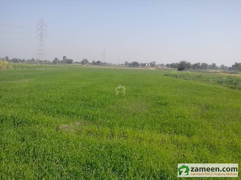 Fertilize 65 Acres Agriculture Land With Large Front Of 15 Acres For Sale