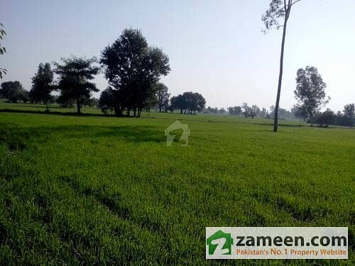 Superb Location 2600 Kanal Fertile Agriculture Land With Carpet Road For Sale