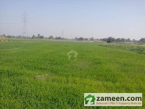 Investment Opportunity Fertile Agriculture Land 35 Acre 5 Km Away From Sangla Hill