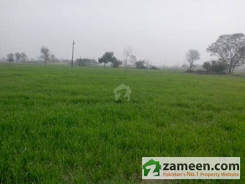 Fertile Agriculture Land, 56 Acres For Sale, 4 Km Away From Main Gt Road Faisalabad & Sheikhpura