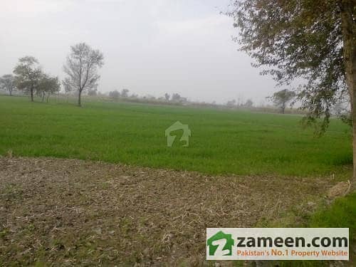 Fertile Agriculture Land For Sale, 12. 5 Acres Hardly 400 Meter Away From Main Nankana Road