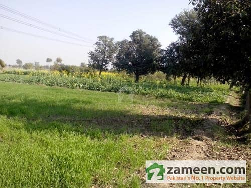 Cheapest Land For Sale 50 Acres With Canal Water & Tube Well