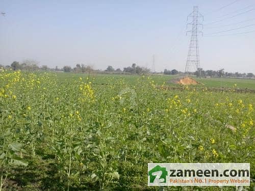 80 Acres Fertile Agriculture Land For Sale 500 Feet Away From Main Gt Road Faisalabad & Sheikhpura
