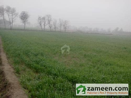 Investment Opportunity Fertile Agriculture Land 62. 5 Acres, 5 Km Away From Main Gt Road Faisalabad