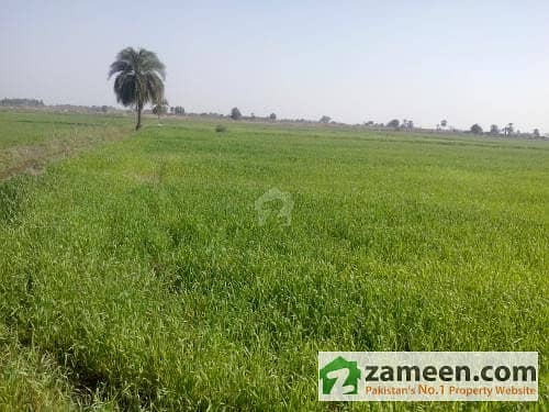 Ideal Farm Houses Land 100 Meter Away From Main Baidian Road 15 Minute Drive From Nawaz Sharif Inter