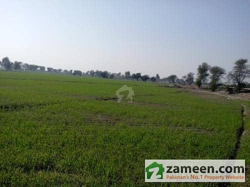 10 Acres Fertile Agriculture Land 300 Feet Away From Main Gt Road Faisalabad & Sheikhpura