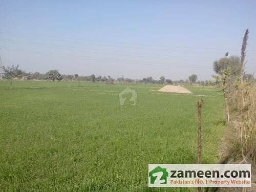 Fertile Agriculture Land 56 Acres 1. 5 Km Away From Main Gt Road Faisalabad & Sheikhpura