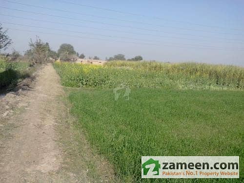 Fertile Agriculture Land 50 Acres 4. 5 Km Away From Main Gt Road Faisalabad & Sheikhpura