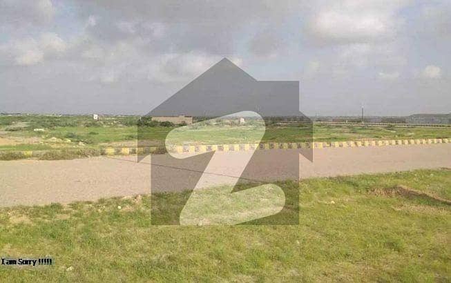 Taiser Town Sector 6a Vip Location 100 Fit Road Plot File Available For Sale
