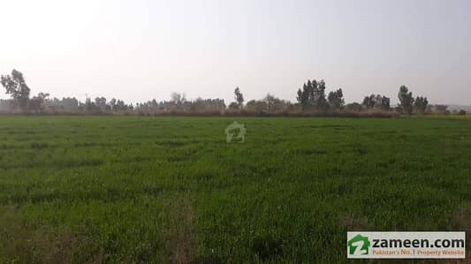 Nogran Gura Ahmed Agricultural Land For Sale