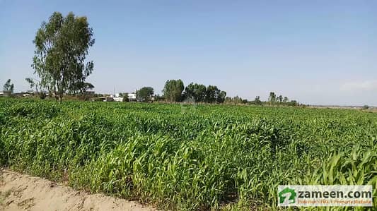 Agricultural Land For Sale Gura Ahmed