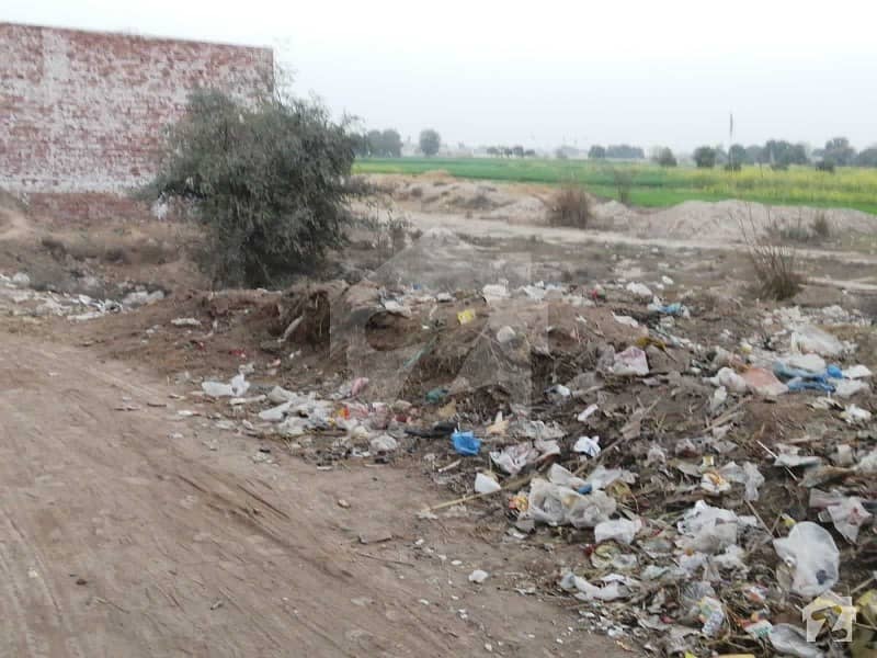 Buying A Agricultural Land In Budhla Sannat? Buying A Agricultural Land In Budhla Sannat?