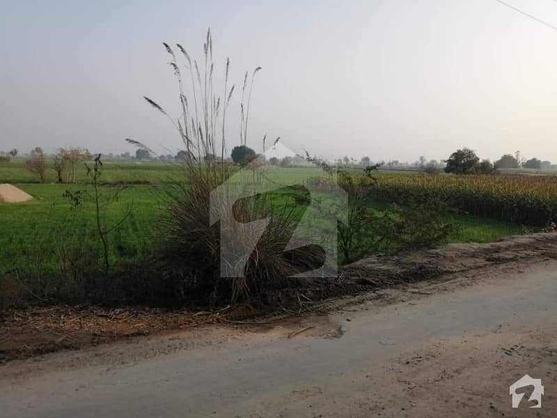 Buying A Agricultural Land In Pansera Gojra Road?