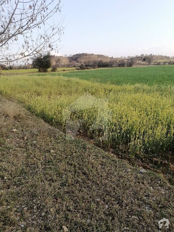 1575000 Square Feet Agricultural Land Available In Lahore - Islamabad Motorway For Sale