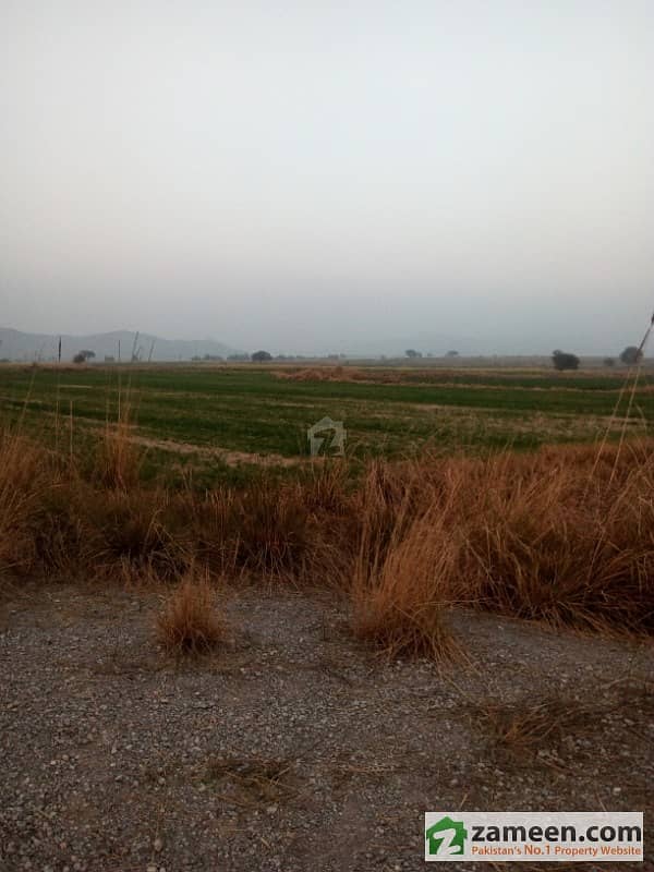 Agricultural Land For Sale In Hassan Abdal
