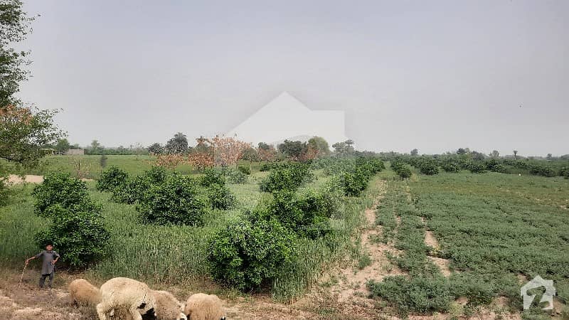 Centrally Located Agricultural Land In Fatehpur Is Available For Sale