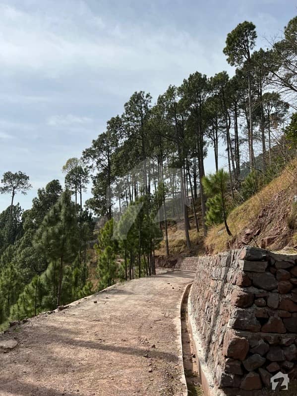 New Muree Patriata: 4 Marla Residential Plot Available For Sale At Reasonable Price