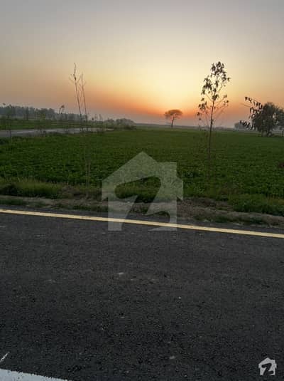 36000 Square Feet Agricultural Land In Bedian Road For Sale