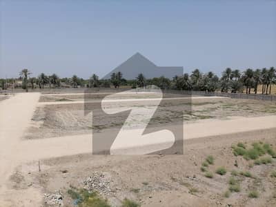 125 Sqyd Residential Plot For Sale Hasnain Green City Gambat