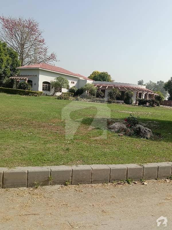 Farm House Land Available For Sale On Bedian
