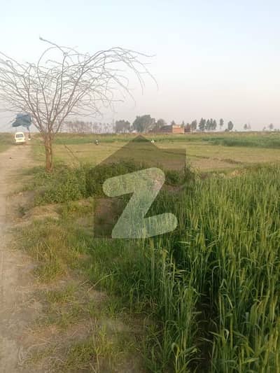 25 Acre Open Land Available Nearest To Bulle Shah Paper Mills