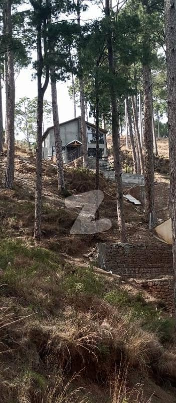 Highly In-demand Residential Plot Near Patriata Chairlift