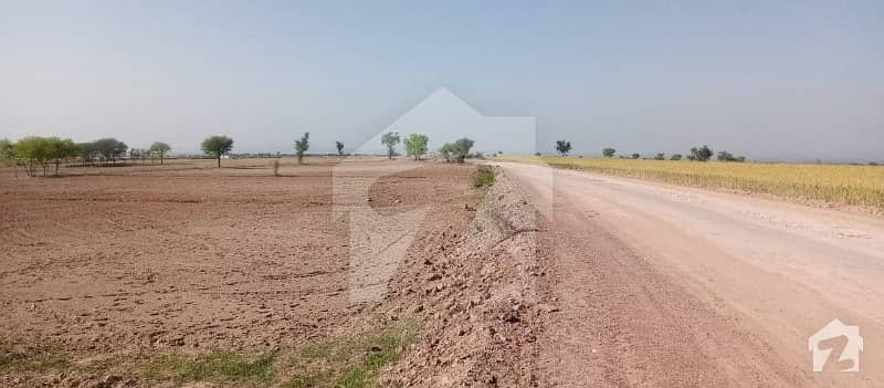 Mozza Chajji Maar Tehsil Jund District Attock  98 kanal  Land For Agricultural
