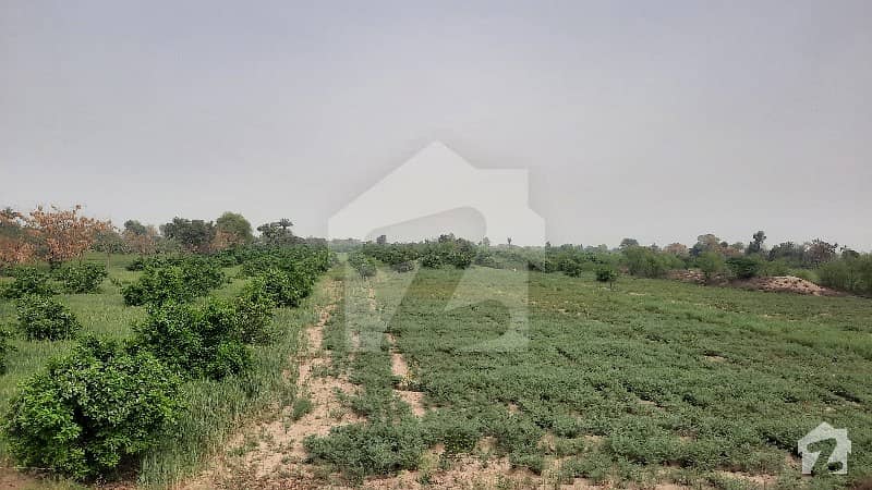 7.5 Acre Mosami Bagh Land For Sale