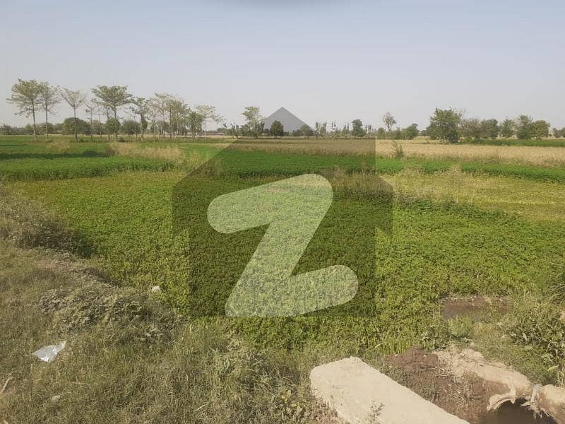 پریم نگر لاہور میں 18 کنال زرعی زمین 3.06 کروڑ میں برائے فروخت۔